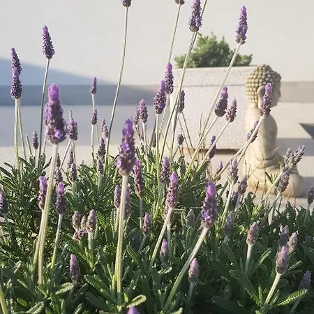 Casa Maria Dolors Con Piscina Y Jardin Privado *